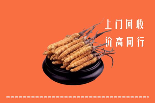 高价求购：乌苏市回收散虫草