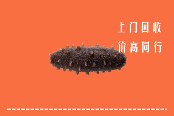 乌苏市回收海参